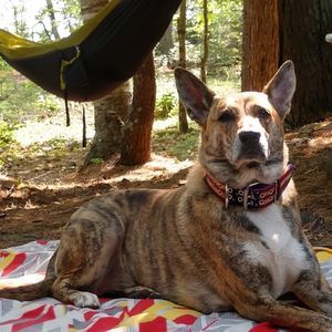 Meet your Posher, Ben